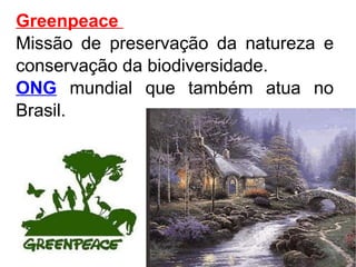 Greenpeace  Missão de preservação da natureza e conservação da biodiversidade. ONG   mundial que também atua no Brasil. 