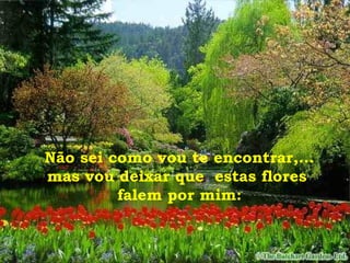 Não sei como vou te encontrar,... mas vou deixar que  estas flores  falem por mim: 