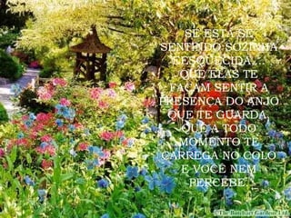 SE ESTÁ SE SENTINDO SOZINHA EESQUECIDA,... QUE ELAS TE FAÇAM SENTIR A PRESENÇA DO ANJO QUE TE GUARDA, QUE A TODO MOMENTO TE CARREGA NO COLO E VOCÊ NEM PERCEBE. 