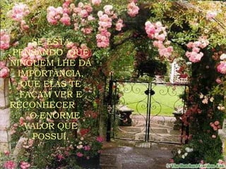 SE ESTA PENSANDO  QUE NINGUEM LHE DÁ IMPORTÂNCIA, QUE ELAS TE FAÇAM VER E RECONHECER  O ENORME VALOR QUE POSSUÍ. 