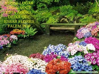 NESSE LUGAR ONDE VOCÊ ESTÁ AGORA, DEIXA QUE ESSAS FLORES FALEM POR MIM... 