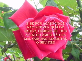 E SE POR ACASO VOCÊ NÃO ESTIVER BEM DE SAÚDE, LEMBRE-SE: SOB A LUZ DO AMOR NÃO HÁ MAL QUE NÃO ENCONTRE O SEU FIM! 