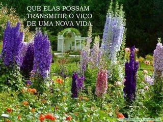 QUE ELAS POSSAM TRANSMITIR O VIÇO  DE UMA NOVA VIDA. 