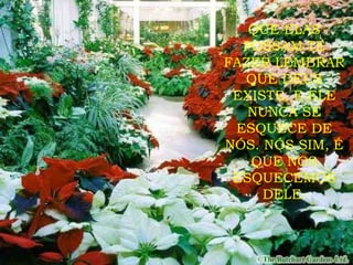 QUE ELAS POSSAM TE FAZER LEMBRAR QUE DEUS EXISTE, E ELE NUNCA SE ESQUECE DE NÓS. NÓS SIM, É QUE NOS ESQUECEMOS DELE. 