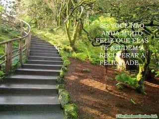 SE VOCÊ NÃO ANDA MUITO FELIZ QUE ELAS TE AJUDEM A RECUPERAR A FELICIDADE... 