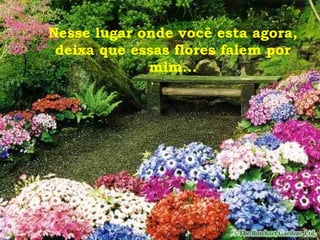 Nesse lugar onde você esta agora, deixa que essas flores falem por mim... 