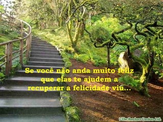 Se você não anda muito feliz que elas te ajudem a recuperar a felicidade viu... 