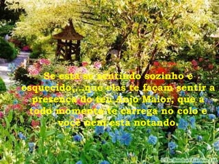 Se esta se sentindo sozinho e
esquecido,...que elas te façam sentir a
presença do teu Anjo Maior, que a
todo momento te carrega no colo e
você nem esta notando.
 