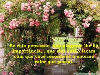 Se esta pensando que ninguem lhe dá
importância,...que elas então façam
com que você reconheça o enorme
valor que possuí.
 