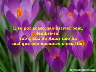 E se por acaso não estiver bem,
lembre-se:
sob a Luz do Amor não há
mal que não encontre o seu fim!
 