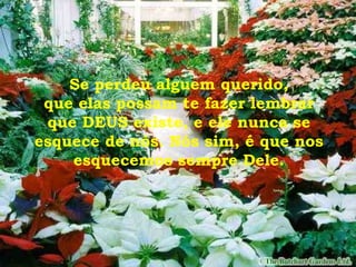 Se perdeu alguem querido,
que elas possam te fazer lembrar
que DEUS existe, e ele nunca se
esquece de nós. Nós sim, é que nos
esquecemos sempre Dele.
 