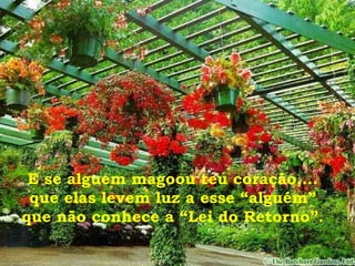 E se alguem magoou teu coração,...
que elas levem luz a esse “alguém”
que não conhece a “Lei do Retorno”.
 