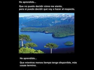 He aprendido...
Que no puedo decidir cómo me siento,
pero sí puedo decidir qué voy a hacer al respecto.
He aprendido...He aprendido...
Que mientras menos tiempo tengo disponible, másQue mientras menos tiempo tengo disponible, más
cosas termino.cosas termino.
 
