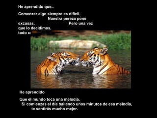 He aprendido que..
Comenzar algo siempre es difícil.
Nuestra pereza pone
excusas. Pero una vez
que lo decidimos,
todo comienza a fluir..
He aprendidoHe aprendido
Que el mundo toca una melodía.Que el mundo toca una melodía.
Si comienzas el día bailando unos minutos de esa melodía,Si comienzas el día bailando unos minutos de esa melodía,
te sentirás mucho mejor.te sentirás mucho mejor.
 