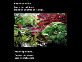 Hoy he aprendido…Hoy he aprendido…
Que la Luz del AmorQue la Luz del Amor
disipa las tinieblas de la culpa.disipa las tinieblas de la culpa.
Hoy he aprendido…
Que ser positivo es
usar mi inteligencia
 
