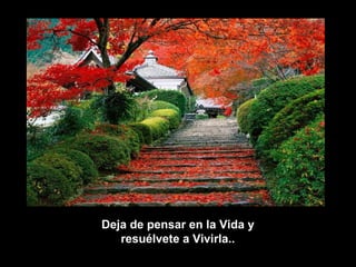 Deja de pensar en la Vida yDeja de pensar en la Vida y
resuélvete a Vivirla..resuélvete a Vivirla..
 