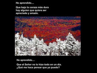 He aprendido....He aprendido....
Que bajo la coraza más duraQue bajo la coraza más dura
hay alguien que quiere serhay alguien que quiere ser
apreciado y amado.apreciado y amado.
He aprendido....He aprendido....
Que el Señor no lo hizo todo en un día.Que el Señor no lo hizo todo en un día.
¿Qué me hace pensar que yo puedo?¿Qué me hace pensar que yo puedo?
 