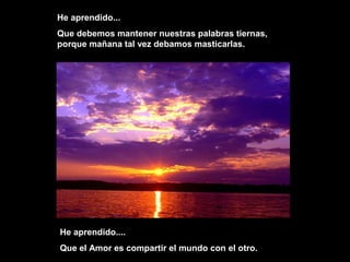He aprendido...
Que debemos mantener nuestras palabras tiernas,
porque mañana tal vez debamos masticarlas.
He aprendido....
Que el Amor es compartir el mundo con el otro.
 