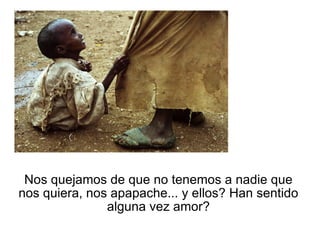 Nos quejamos de que no tenemos a nadie que nos quiera, nos apapache... y ellos? Han sentido alguna vez amor? 