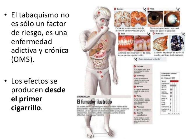 Las revocaciones de las personas que han dejado al fumar