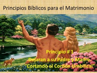 Principios Bíblicos para el Matrimonio Principio # 1 Dejaran a su Padre y Madre. “Cortando el Cordón Umbilical” 