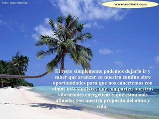 El resto simplemente podemos dejarlo ir y saber que avanzar en nuestro camino abre oportunidades para que nos conectemos con almas más similares que comparten nuestras vibraciones energéticas y que están más afinadas con nuestro propósito del alma y vida.  