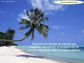 Dependiendo del tipo de relación que tengamos con alguien, su desaparición de nuestra vida puede dejar un espacio notable.  