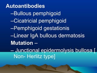 Autoantibodies
–Bullous pemphigoid
–Cicatricial pemphigoid
–Pemphigoid gestationis
–Linear IgA bullous dermatosis
Mutation –
– Junctional epidermolysis bullosa [
Non- Herlitz type]
 