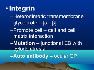 •Integrin
–Heterodimeric transmembrane
glycoprotein [α , β]
–Promote cell – cell and cell
matrix interaction
–Mutation – junctional EB with
pyloric atresia
–Auto antibody – ocular CP
 