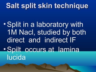 Salt split skin techniqueSalt split skin technique
•Split in a laboratory with
1M Nacl, studied by both
direct and indirect IF
•Spilt occurs at lamina
lucida
 