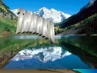 Dermo epidermal junction