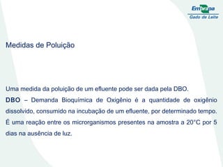 Medidas de Poluição Uma medida da poluição de um efluente pode ser dada pela DBO. DBO  – Demanda Bioquímica de Oxigênio é a quantidade de oxigênio dissolvido, consumido na incubação de um efluente, por determinado tempo. É uma reação entre os microrganismos presentes na amostra a 20°C por 5 dias na ausência de luz. 