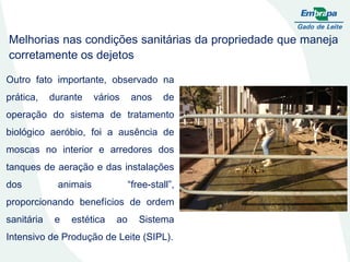Melhorias nas condições sanitárias da propriedade que maneja corretamente os dejetos Outro fato importante, observado na prática, durante vários anos de operação do sistema de tratamento biológico aeróbio, foi a ausência de moscas no interior e arredores dos tanques de aeração e das instalações dos animais “free-stall”, proporcionando benefícios de ordem sanitária e estética ao Sistema Intensivo de Produção de Leite (SIPL). 