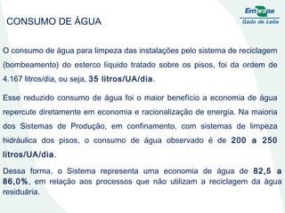 O consumo de água para limpeza das instalações pelo sistema de reciclagem (bombeamento) do esterco líquido tratado sobre os pisos, foi da ordem de 4.167 litros/dia, ou seja,  35 litros/UA/dia . CONSUMO DE ÁGUA Esse reduzido consumo de água foi o maior benefício a economia de água repercute diretamente em economia e racionalização de energia. Na maioria dos Sistemas de Produção, em confinamento, com sistemas de limpeza hidráulica dos pisos, o consumo de água observado é de  200 a 250 litros/UA/dia .  Dessa forma, o Sistema representa uma economia de água de  82,5 a 86,0% , em relação aos processos que não utilizam a reciclagem da água residuária. 
