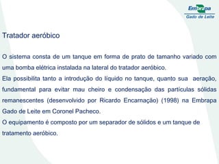 Tratador aeróbico  O sistema consta de um tanque em forma de prato de tamanho variado com uma bomba elétrica instalada na lateral do tratador aeróbico. Ela possibilita tanto a introdução do líquido no tanque, quanto sua  aeração, fundamental para evitar mau cheiro e condensação das partículas sólidas remanescentes (desenvolvido por Ricardo Encarnação) (1998) na Embrapa Gado de Leite em Coronel Pacheco. O equipamento é composto por um separador de sólidos e um tanque de tratamento aeróbico. 