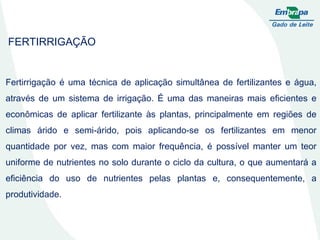 FERTIRRIGAÇÃO Fertirrigação é uma técnica de aplicação simultânea de fertilizantes e água, através de um sistema de irrigação. É uma das maneiras mais eficientes e econômicas de aplicar fertilizante às plantas, principalmente em regiões de climas árido e semi-árido, pois aplicando-se os fertilizantes em menor quantidade por vez, mas com maior frequência, é possível manter um teor uniforme de nutrientes no solo durante o ciclo da cultura, o que aumentará a eficiência do uso de nutrientes pelas plantas e, consequentemente, a produtividade. 