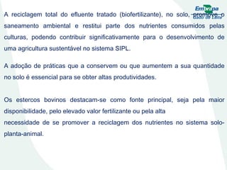 A reciclagem total do efluente tratado (biofertilizante), no solo, promove o saneamento ambiental e restitui parte dos nutrientes consumidos pelas culturas, podendo contribuir significativamente para o desenvolvimento de uma agricultura sustentável no sistema SIPL. A adoção de práticas que a conservem ou que aumentem a sua quantidade no solo é essencial para se obter altas produtividades. Os estercos bovinos destacam-se como fonte principal, seja pela maior disponibilidade, pelo elevado valor fertilizante ou pela alta necessidade de se promover a reciclagem dos nutrientes no sistema solo-planta-animal. 