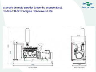 A compostagem estará pronta quando a primeira camada de palha estiver completamente desintegrada, não sendo possível identificar os materiais utilizados nas camadas iniciais, e o esterco apresentar aspecto e cheiro de terra de mato (Figura 3) Fotos: José Ernani Schwengber. 