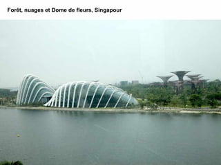 Forêt, nuages et Dome de fleurs, Singapour
 