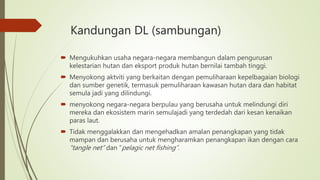 Kandungan DL (sambungan)
 Mengukuhkan usaha negara-negara membangun dalam pengurusan
kelestarian hutan dan eksport produk hutan bernilai tambah tinggi.
 Menyokong aktviti yang berkaitan dengan pemuliharaan kepelbagaian biologi
dan sumber genetik, termasuk pemuliharaan kawasan hutan dara dan habitat
semula jadi yang dilindungi.
 menyokong negara-negara berpulau yang berusaha untuk melindungi diri
mereka dan ekosistem marin semulajadi yang terdedah dari kesan kenaikan
paras laut.
 Tidak menggalakkan dan mengehadkan amalan penangkapan yang tidak
mampan dan berusaha untuk mengharamkan penangkapan ikan dengan cara
“tangle net” dan “pelagic net fishing”.
 