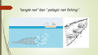 “tangle net” dan “pelagic net fishing”.
 