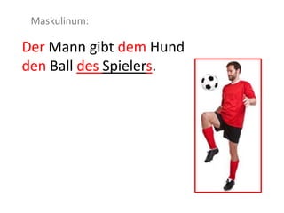 Der Mann gibt dem Hund
den Ball des Spielers.
Maskulinum:
 