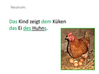 Das Kind zeigt dem Küken
das Ei des Huhns.
Neutrum:
 