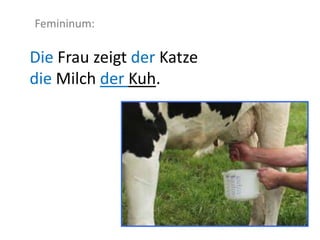 Die Frau zeigt der Katze
die Milch der Kuh.
Femininum:
 