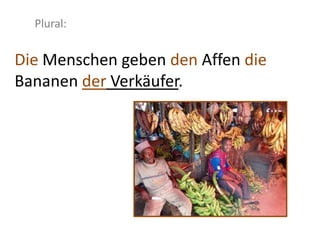 Die Menschen geben den Affen die
Bananen der Verkäufer.
Plural:
 