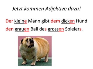 Jetzt kommen Adjektive dazu!
Der kleine Mann gibt dem dicken Hund
den grauen Ball des grossen Spielers.
 