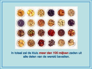 In totaal zal de kluis  meer dan 100 miljoen  zaden uit alle delen van de wereld bevatten. 