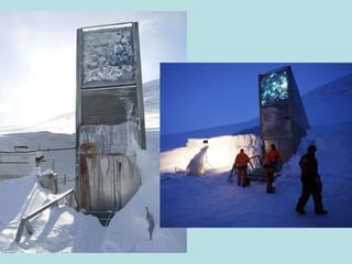 De ingang van de kluis is van een  futuristisch ontwerp  met metalen spiegels die overdag het zonlicht reflecteren en ‘s nachts in de duisternis blinken. Ontworpen door de Noorse kunstenaar  Dyveke Sanne.  Naast de deur bevinden zich de compressoren die het binnenste van de kluis bevriezen. 
