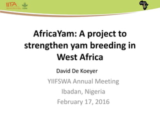 Africa Yam: A project to strengthen yam breeding in west Africa. | PPTX