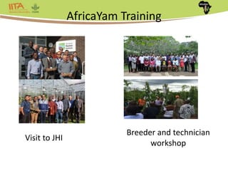 Africa Yam: A project to strengthen yam breeding in west Africa. | PPTX